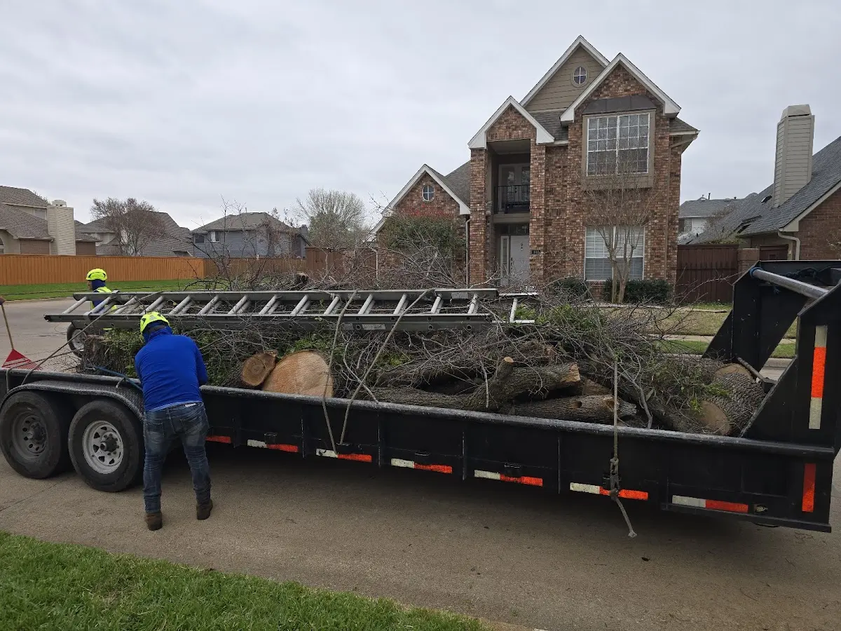 Expert Tree Pest Control with proper safety equipment in Peach Creek